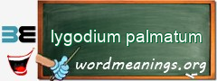 WordMeaning blackboard for lygodium palmatum